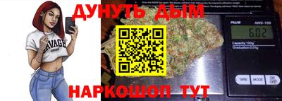 мдпв Будённовск