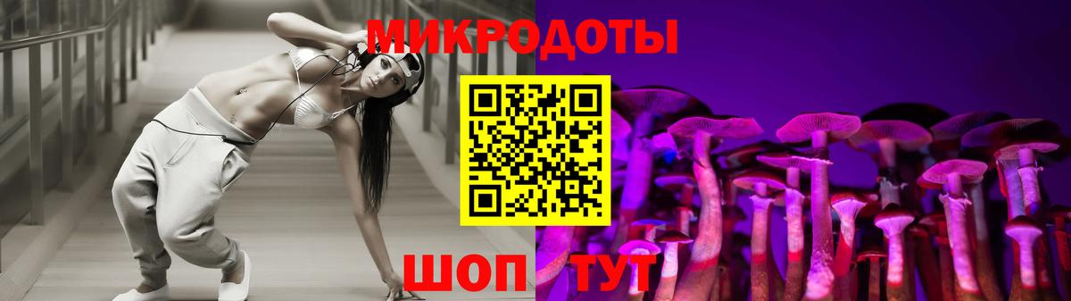 Галлюциногенные грибы Psilocybine cubensis Саянск